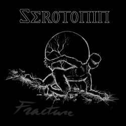 Serotonin – Fracture