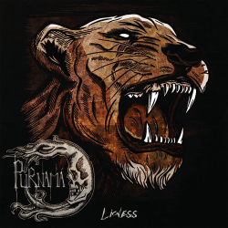 Purnama – Lioness