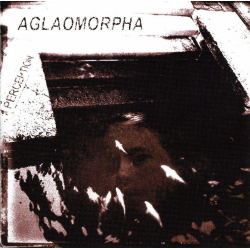 Aglaomorpha – Perception