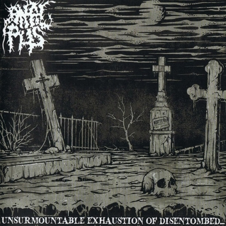 Anal Pus - Unsurmountable Exhaustion Of Disentombed