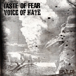 Taste Of Fear / Voice Of Hate (Split)