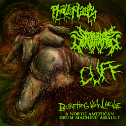 Phalloplasty, Seraphim Defloration, Cuff – Bursting With Larvae: A North American Drum Machine Assault