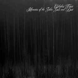 Colorless Forest – Memories Of The Stolen Souls And Dust