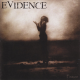 Evidence – Fissure