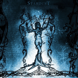 Stardust – Fragmente eines gebrochenen Lebens