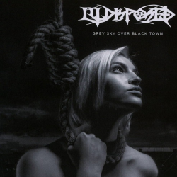 ILLDISPOSED - Grey sky over black town